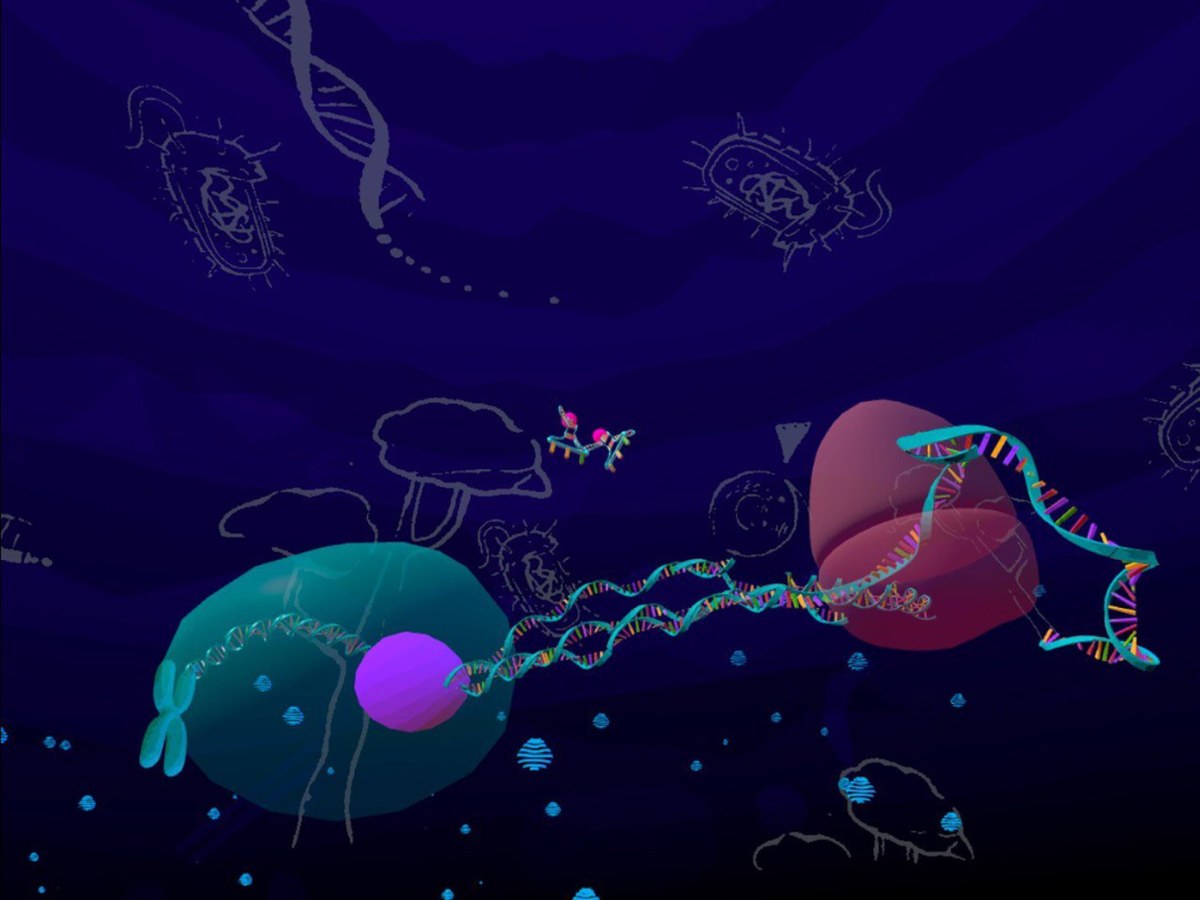 VirNova - biology module: DNA transcription and translation