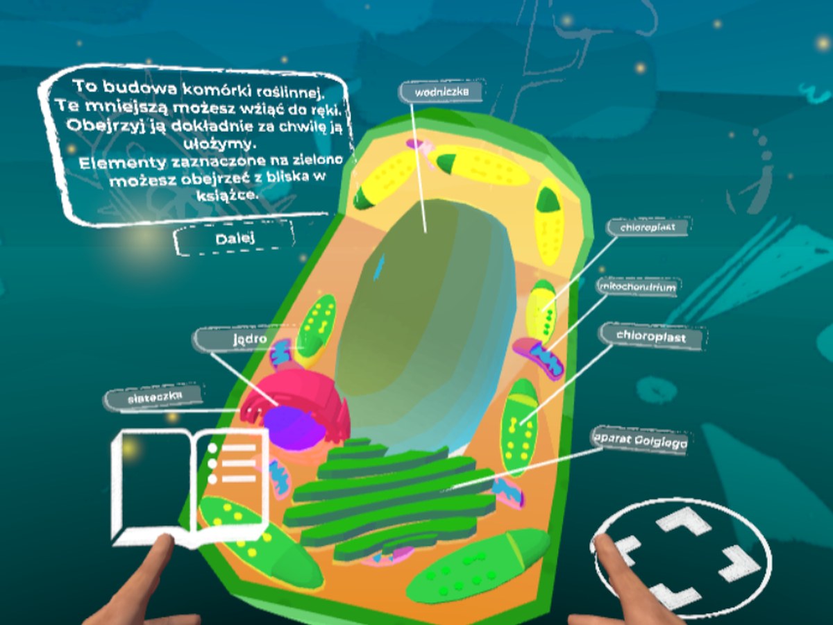 VirNova - biology module: labelled plant cell the student can pick up